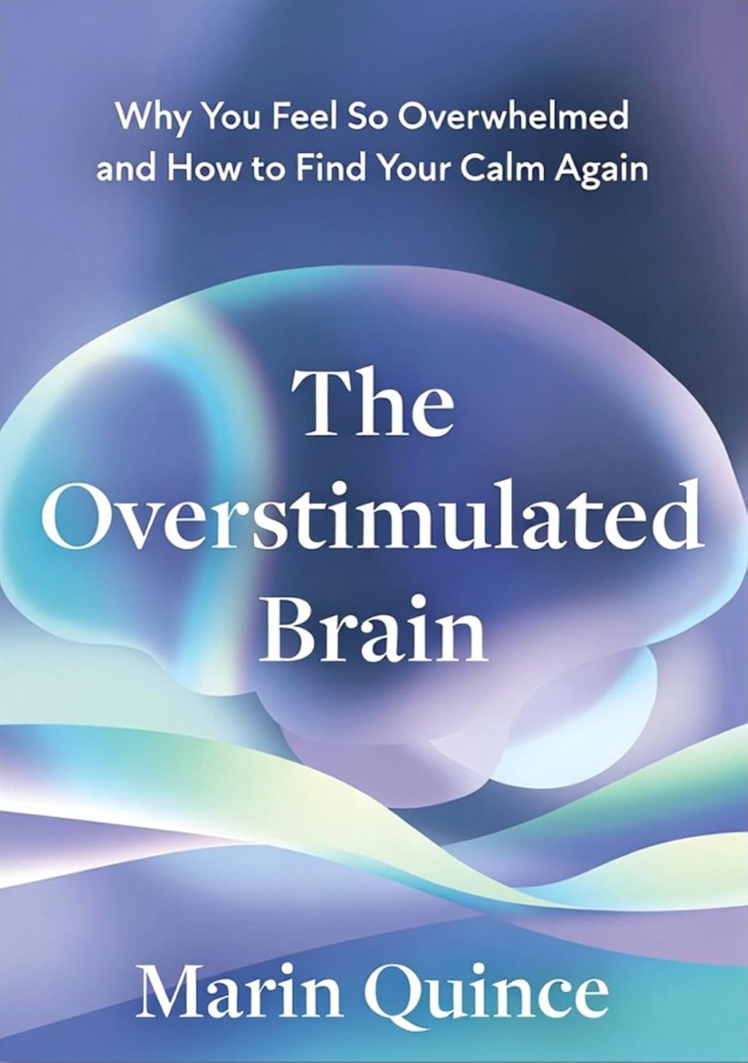 The Overstimulated Brain